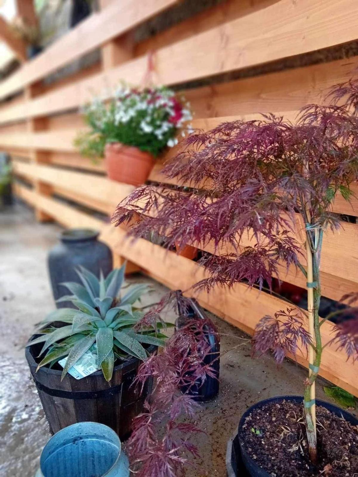 Srbska Kamenice 22 외부 사진
